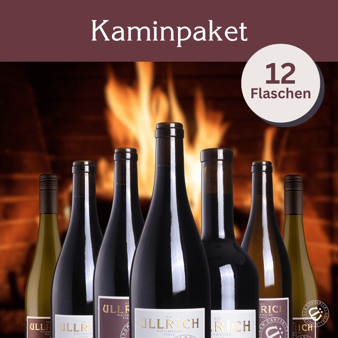Kaminpaket