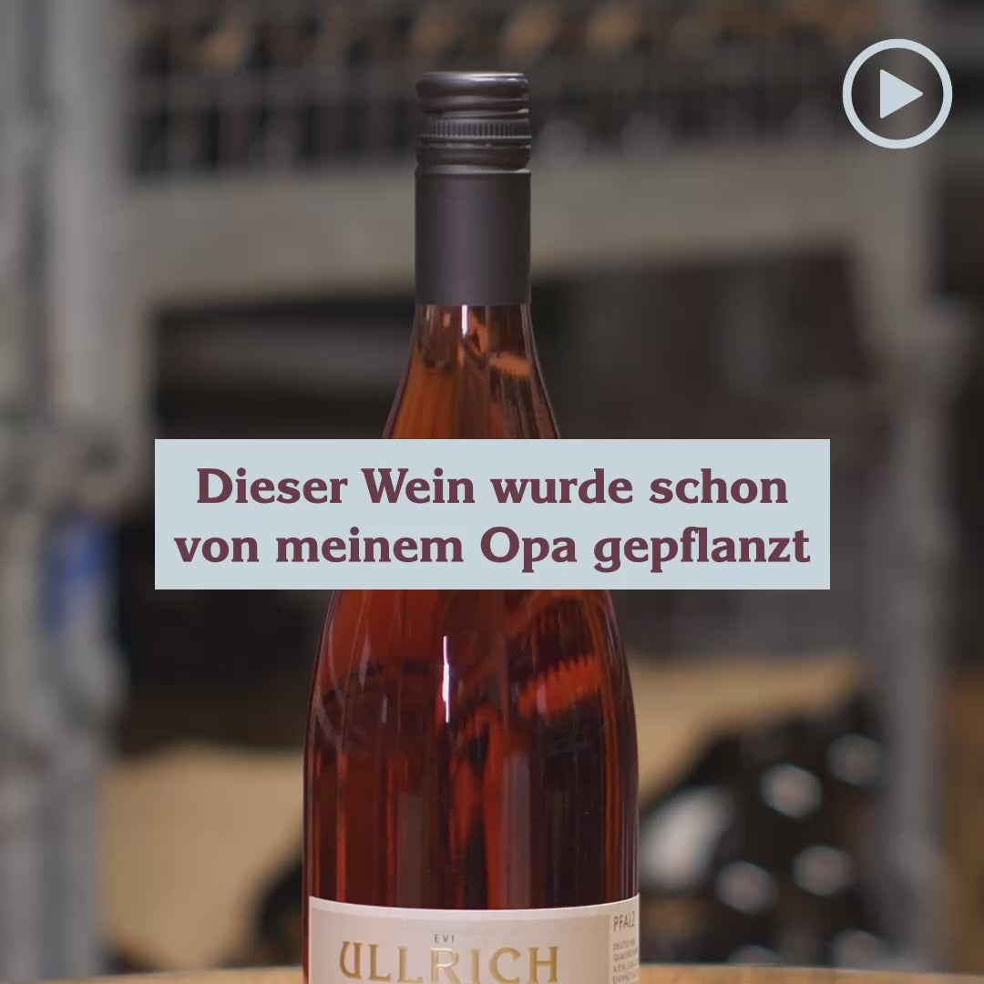 2024 Portugieser Rosé Bio