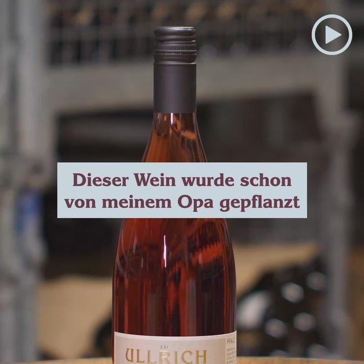 2024 Portugieser Rosé Bio