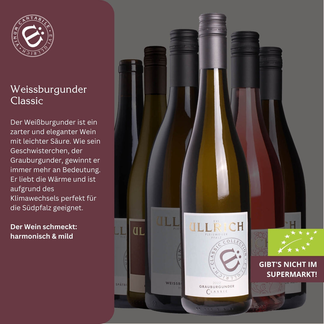 Wetter-Weinpaket