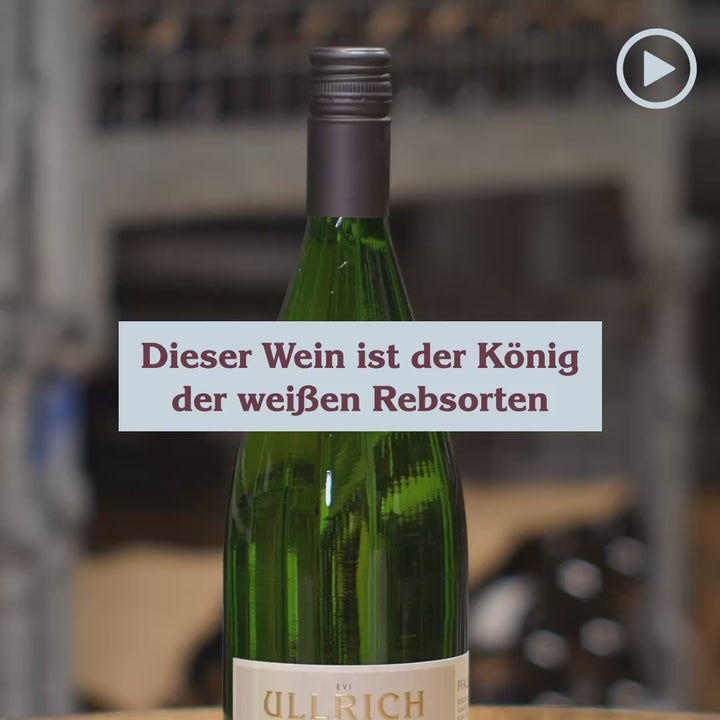 2022 Riesling halbtrocken Bio